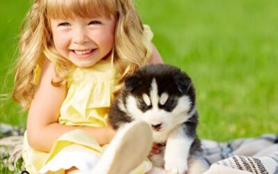 The Puppy Chart: A Little Girl’s Quest for a Dog