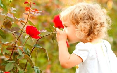 Tuesday Tip: Stop and Smell the Roses