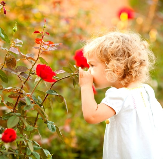 Tuesday Tip: Stop and Smell the Roses